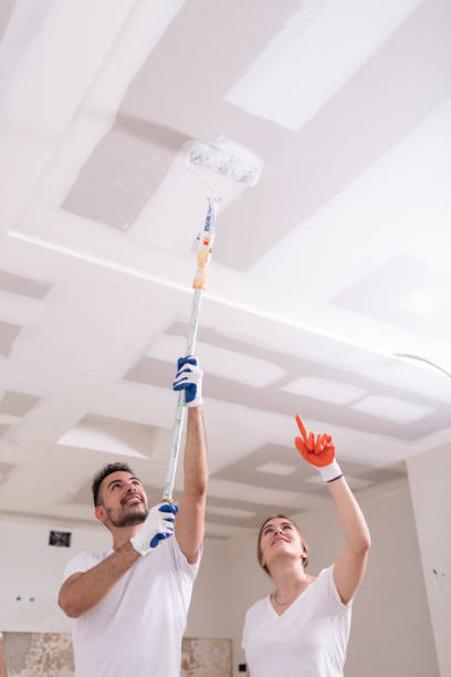 Professional Mold Removal in Albion, NY